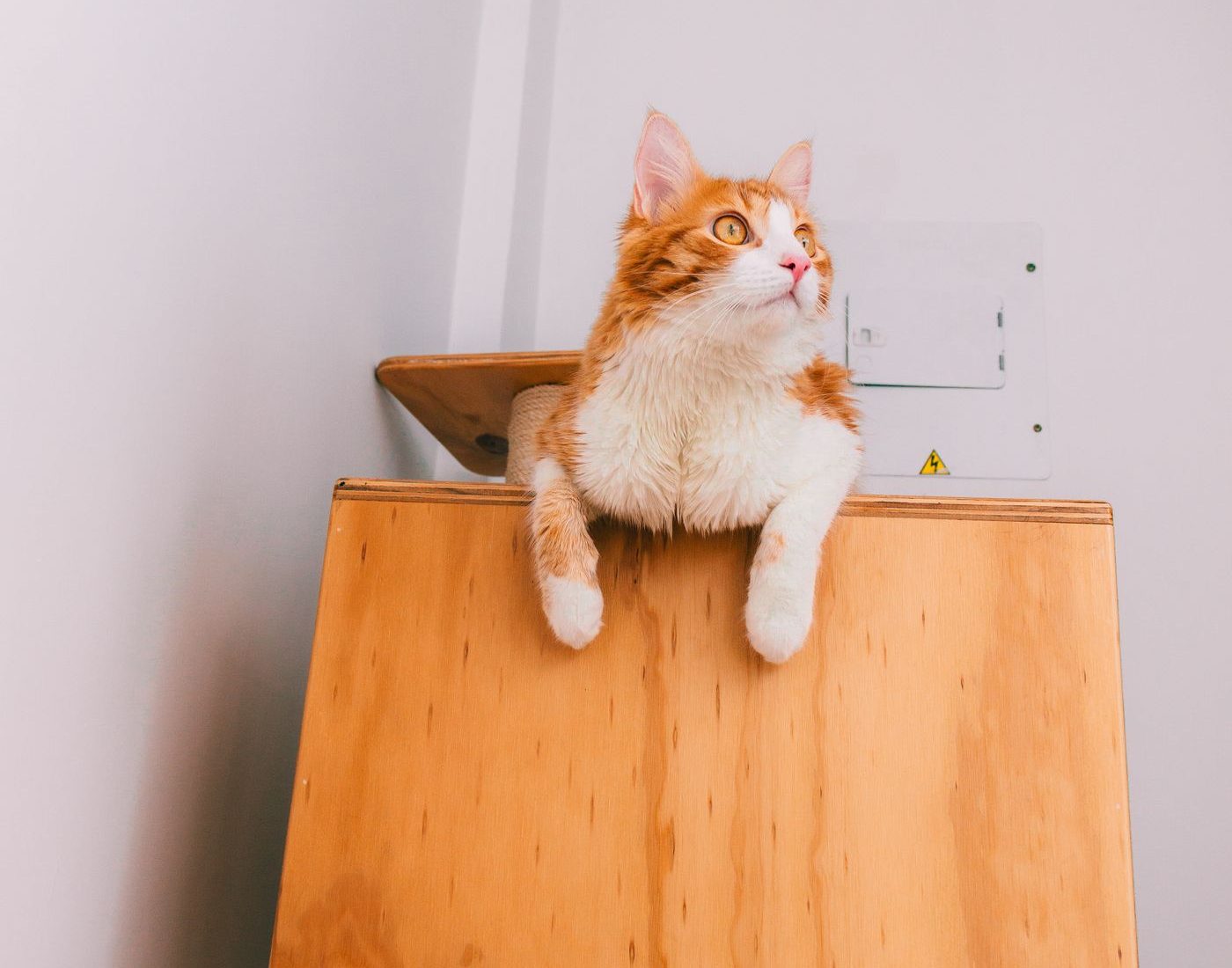 Luna Vertical Condo